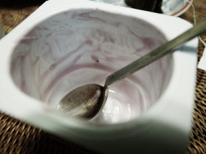 Yogur de Toshiyuki IMAI