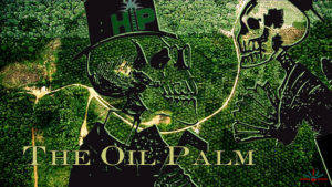 The oil palm