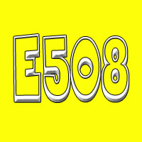E508