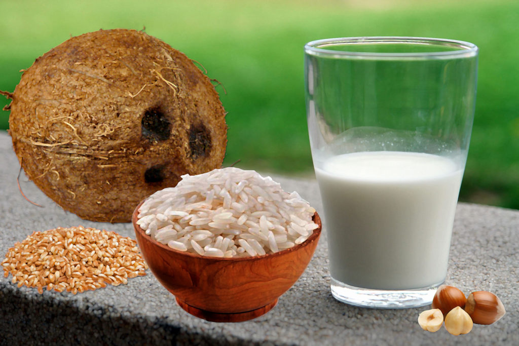 bebida vegetal de arroz, coco, espelta o avellanas